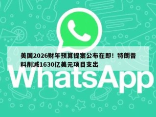 美国2026财年预算提案公布在即！特朗普料削减1630亿美元项目支出