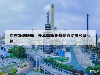 京东净利腰斩！外卖等新业务现百亿级经营亏损