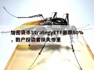 加密货币StrategyETF暴跌80%，散户投资者损失惨重
