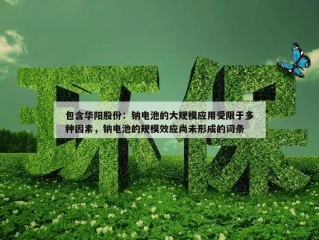 包含华阳股份：钠电池的大规模应用受限于多种因素，钠电池的规模效应尚未形成的词条